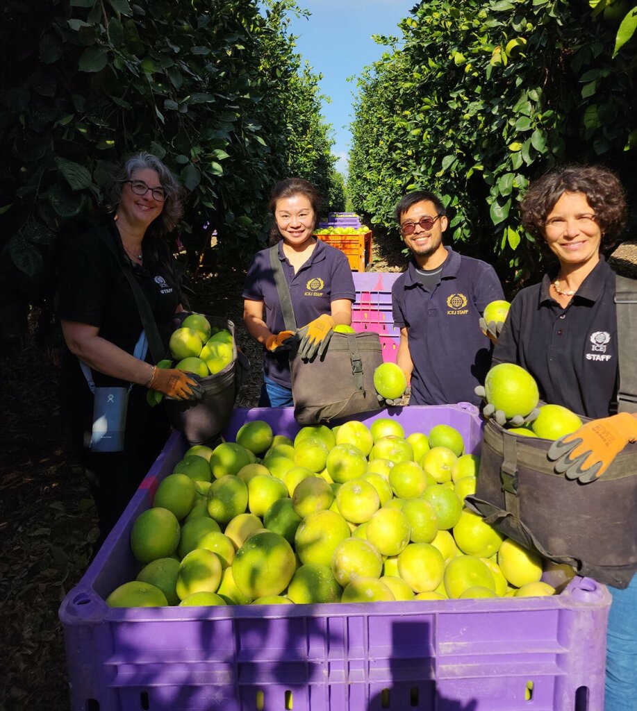 staff fruit picking
